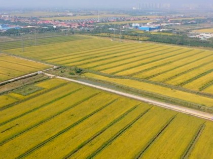 生态环境部：关于印发《环境基准工作方案（2023—2025年）》的通知